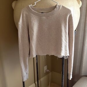 Kirkland Signature Cropped Sweatshirt in Light Beige